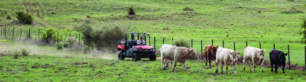 best side by side UTV brands comparison guide 